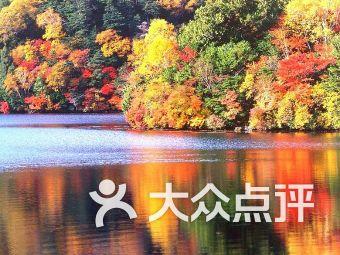 今天是几年几月几号星期几？游戏画面